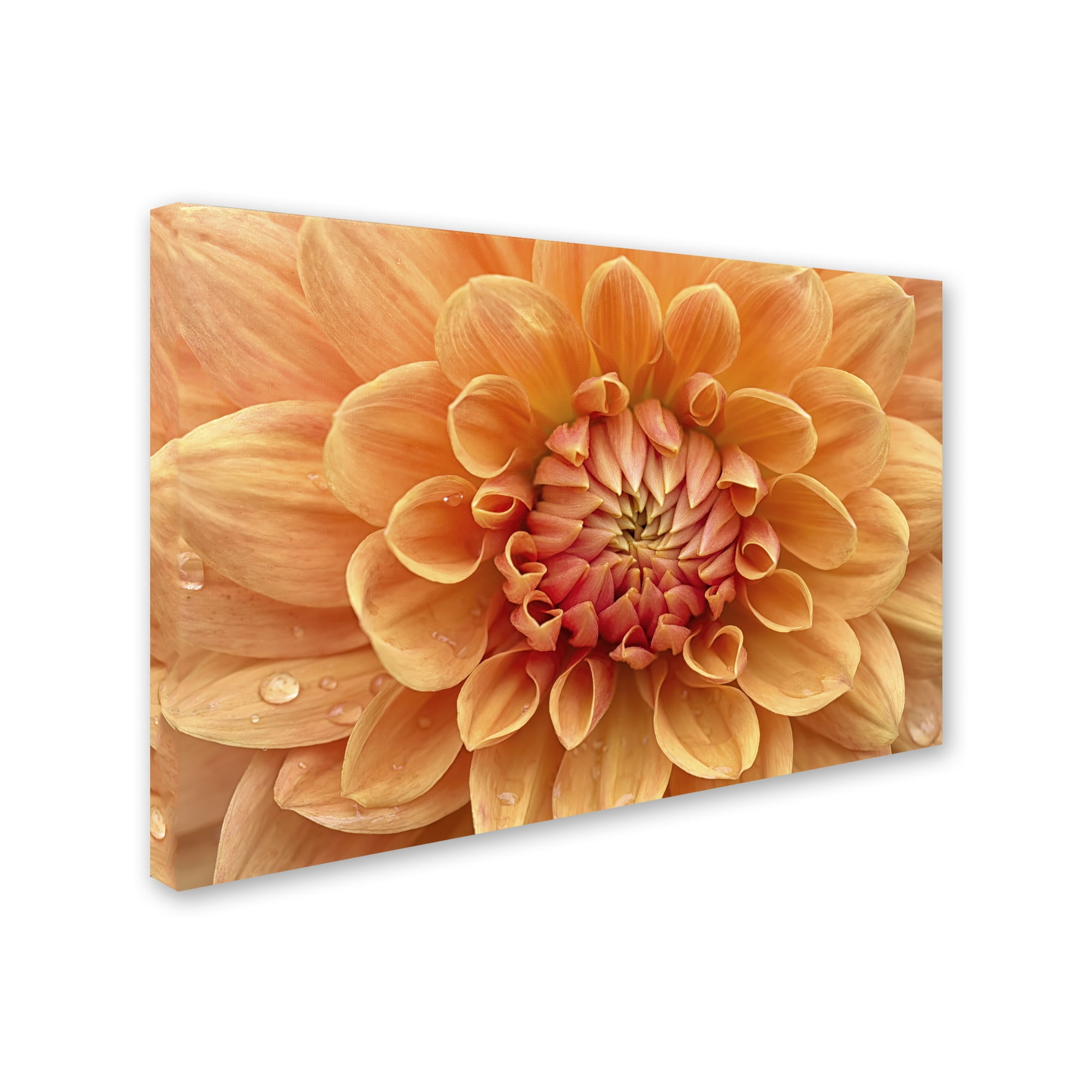 Large Orange Dahlia Canvas Art with Wooden Frame