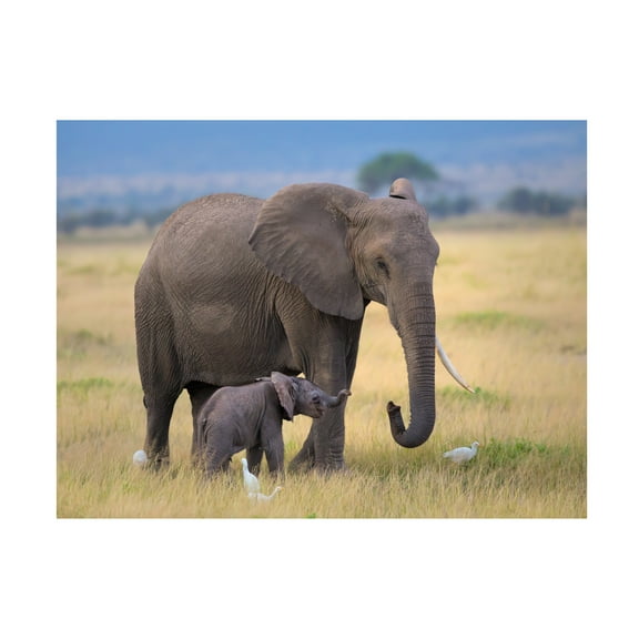 Young Feng 'Learning' Canvas Art