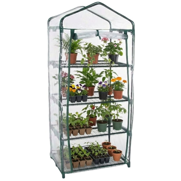 Pure Garden 4 Tier Mini Greenhouse with Rust-Resistant Frame and PVC Cover