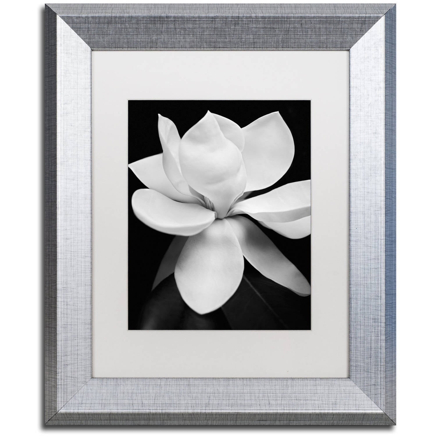 Michael Harrison 'Magnolia' Matted Framed Art