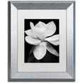 thumbnail image 1 of Michael Harrison 'Magnolia' Matted Framed Art, 1 of 5