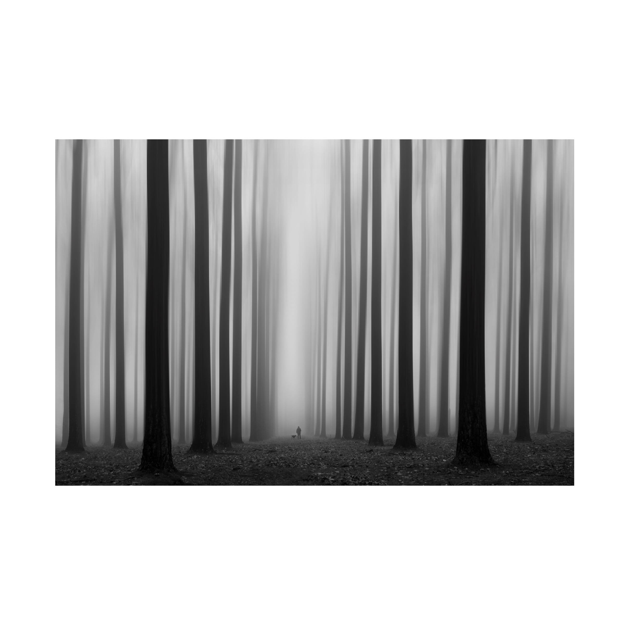 Jochen Bongaerts 'Labyrinth' Canvas Art