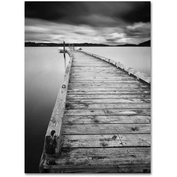 Moises Levy 'Motchia' Canvas Art