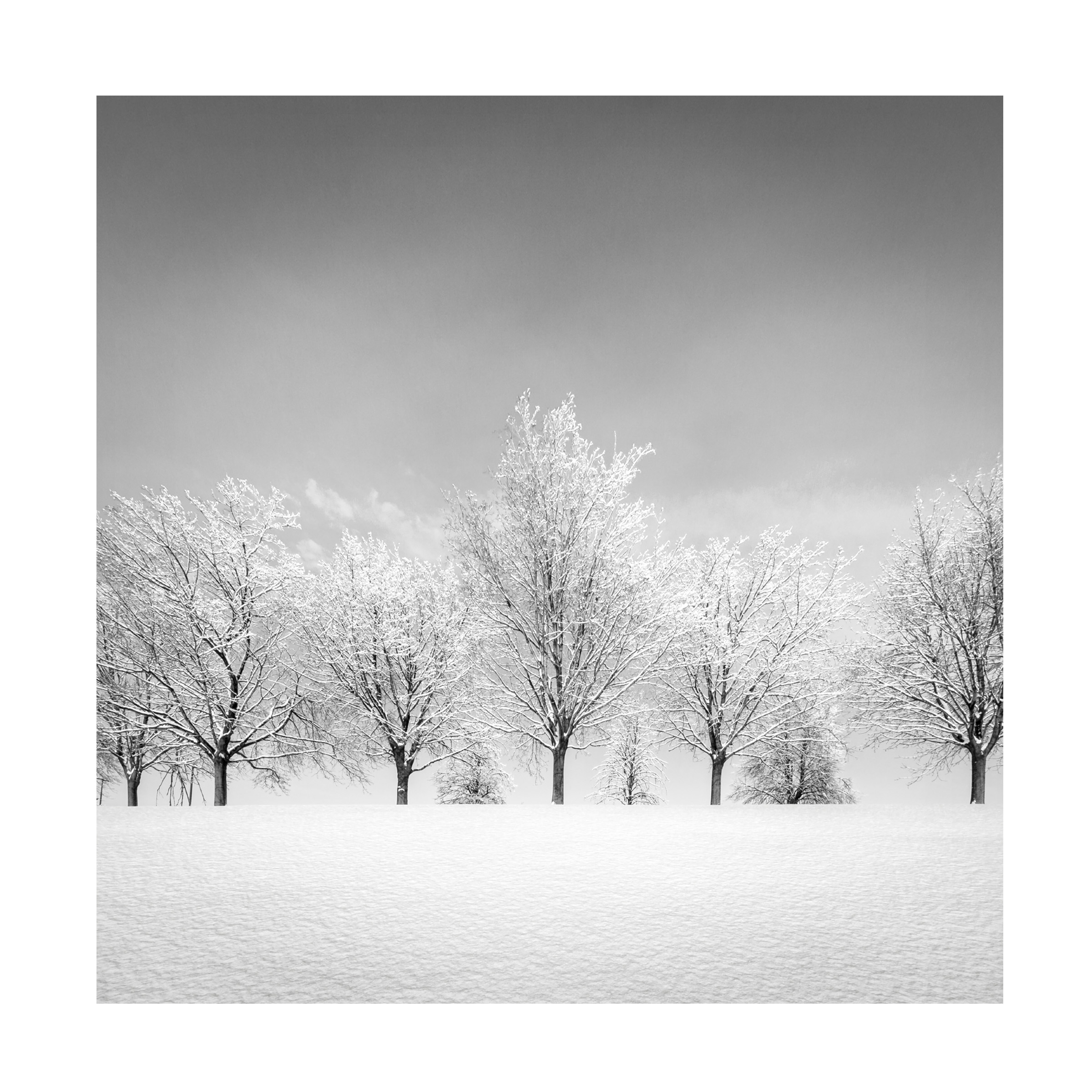 Dave MacVicar 'Ice Storm' Canvas Art