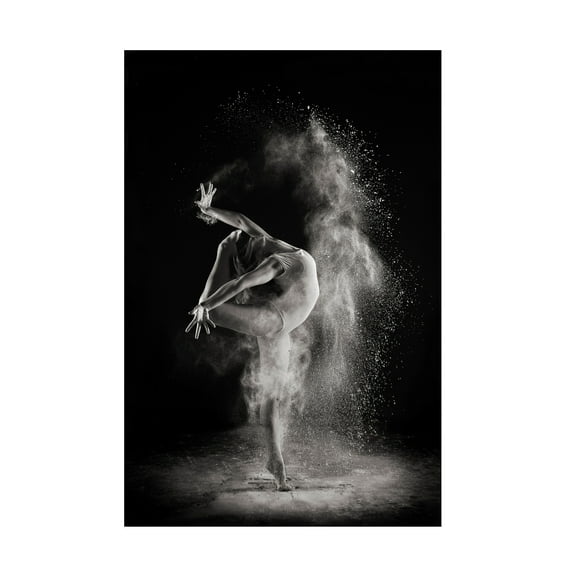 Shades And Light 'In The Light' Canvas Art