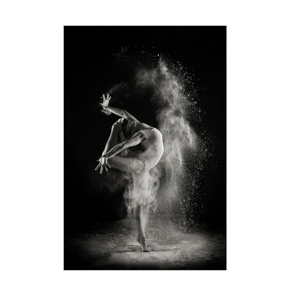 Shades And Light 'In The Light' Canvas Art
