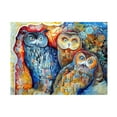 thumbnail image 1 of Oxana Ziaka 'Owls' Canvas Art, 1 of 4