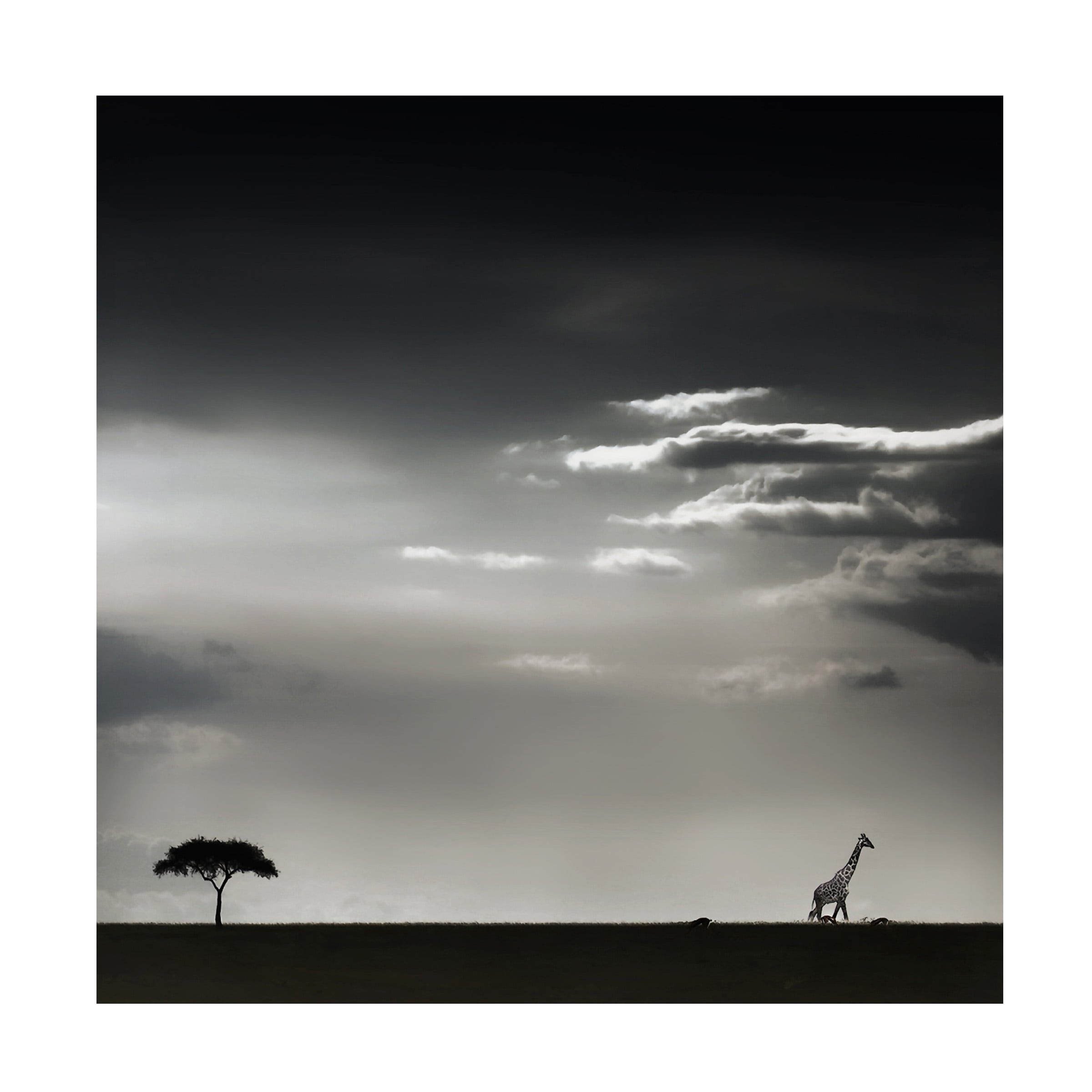 Piet Flour '15 Minutes Of Happiness' Canvas Art
