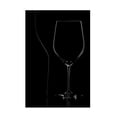 thumbnail image 1 of Mario Buzancic 'Wine Glass And Shadows' Canvas Art, 1 of 4