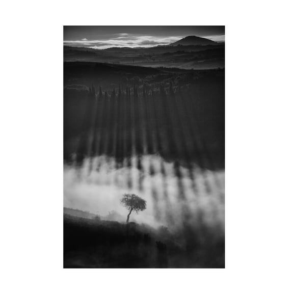 Peter Svoboda 'Rising Up' Canvas Art