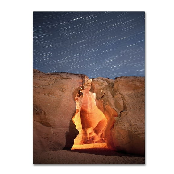 Moises Levy 'Flame' Canvas Art