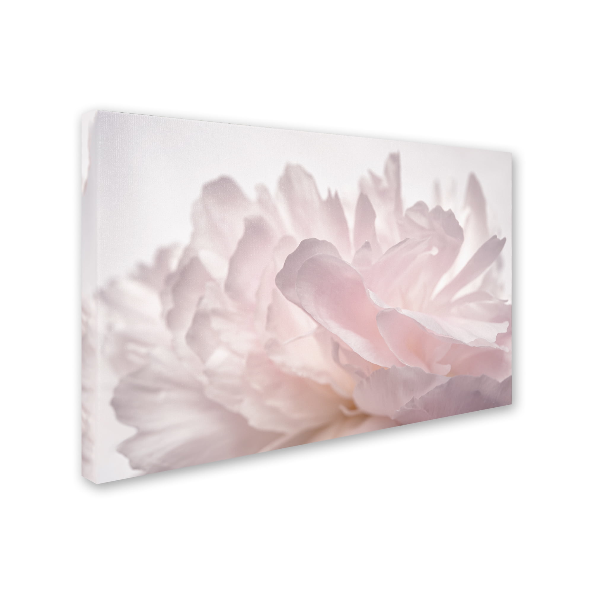Pink Peony Petals Framed Canvas Art, 22'' x 32''