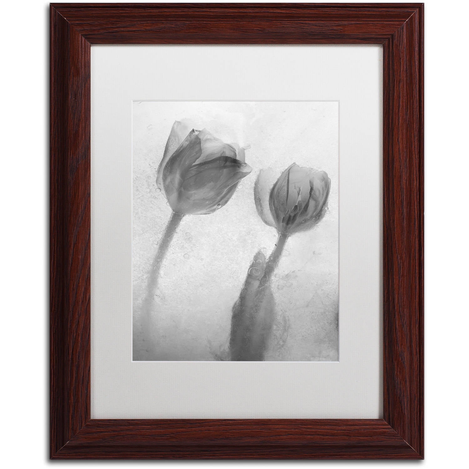Moises Levy 'Flowers on Ice-1' Matted Framed Art