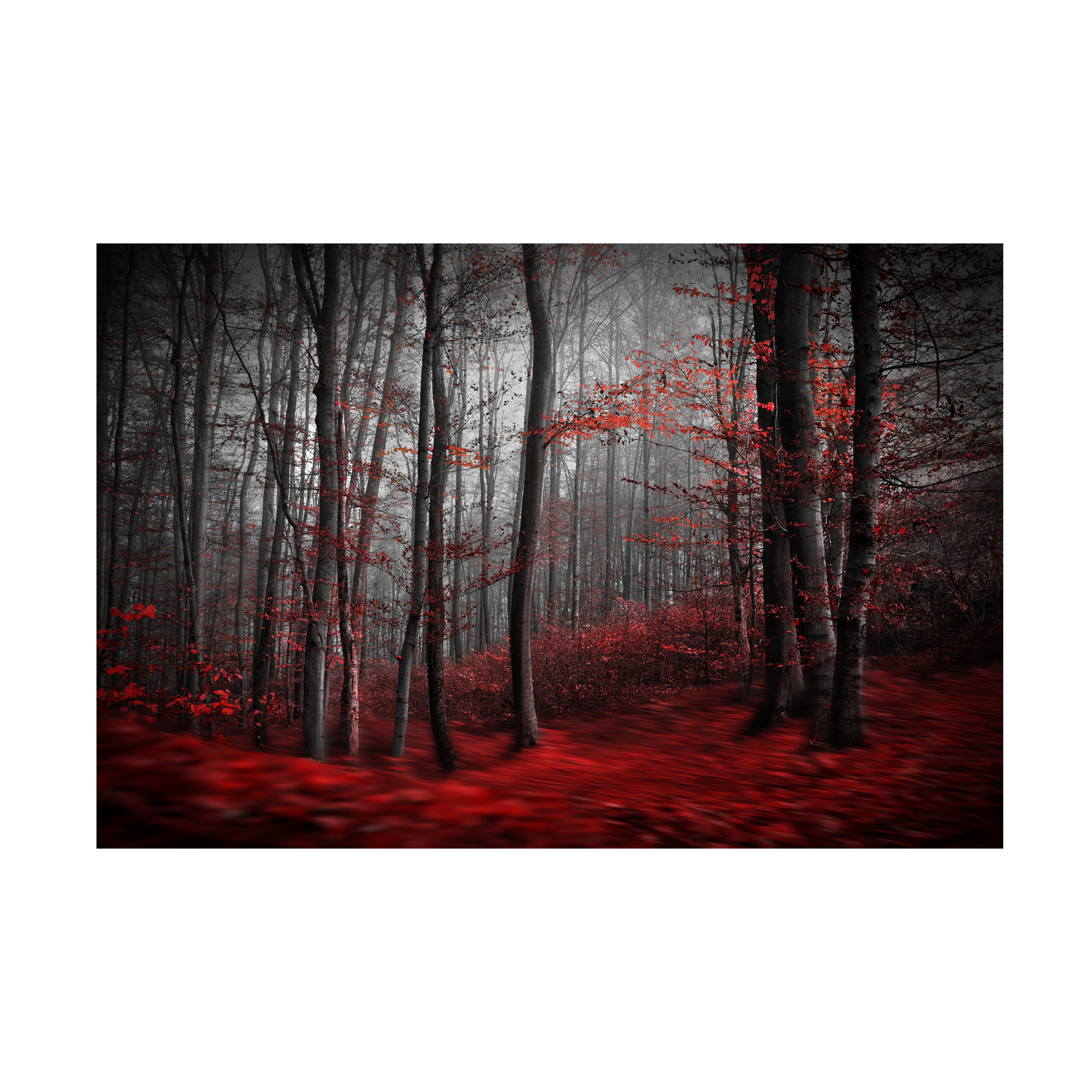 Samanta 'Bloody River' Canvas Art