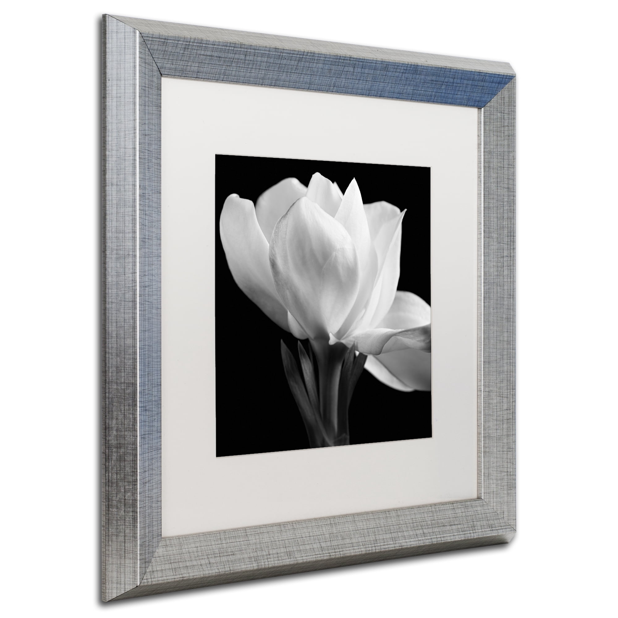 Michael Harrison 'Gardenia' Matted Framed Art