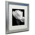 thumbnail image 1 of Michael Harrison 'Gardenia' Matted Framed Art, 1 of 3