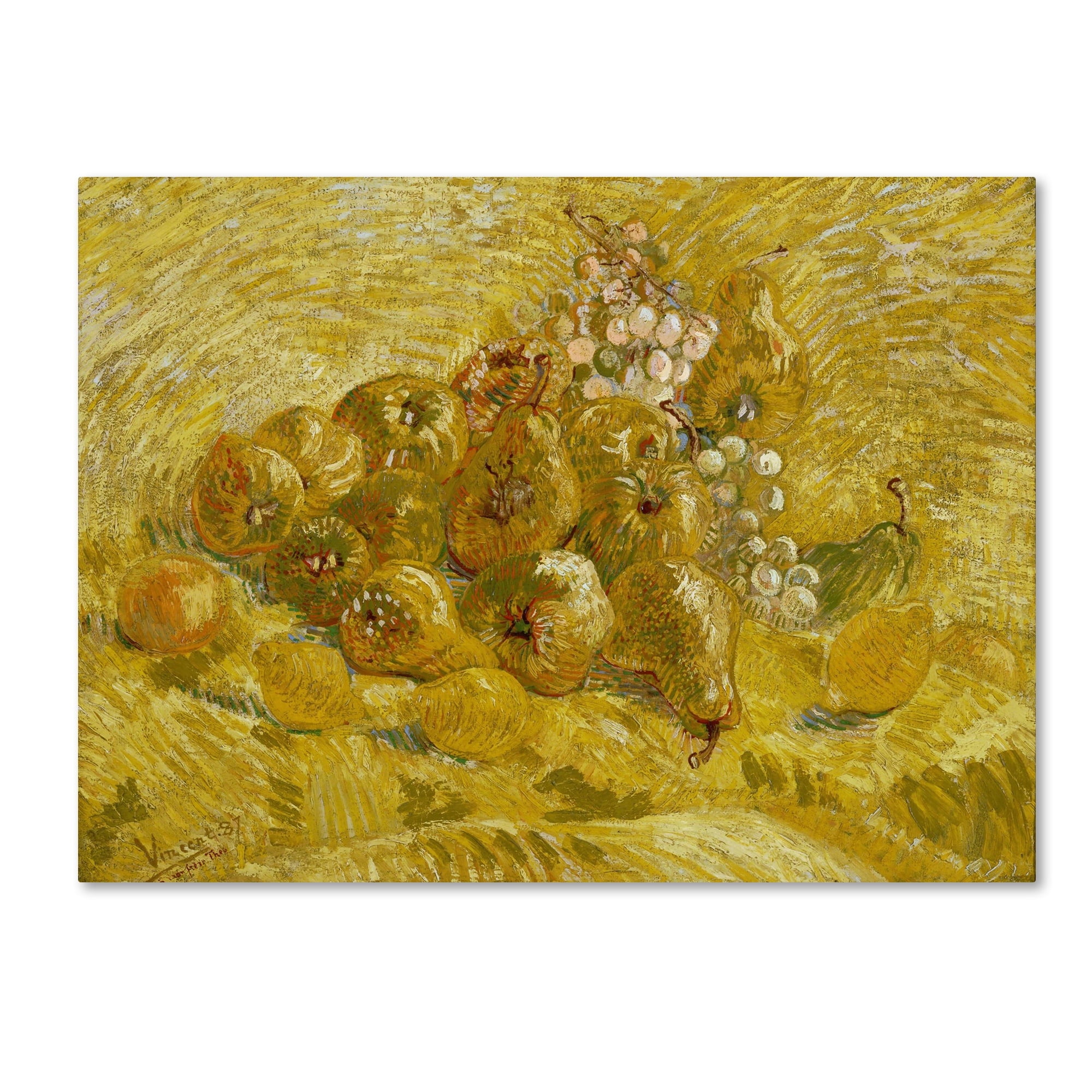 Van Gogh 'Quinces Lemons Pears And Grapes' Canvas Art