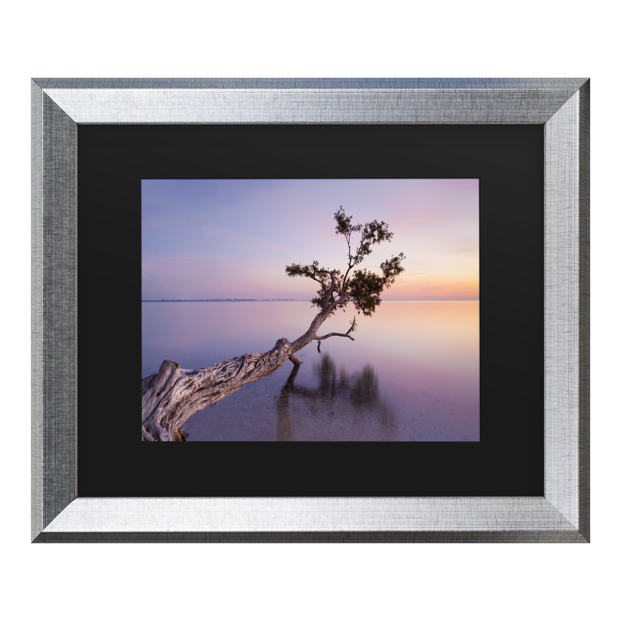 Moises Levy 'Water Tree Xv' Matted Framed Art