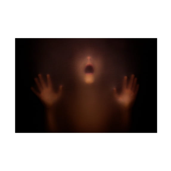David Bokeh 'The Silent Scream' Canvas Art