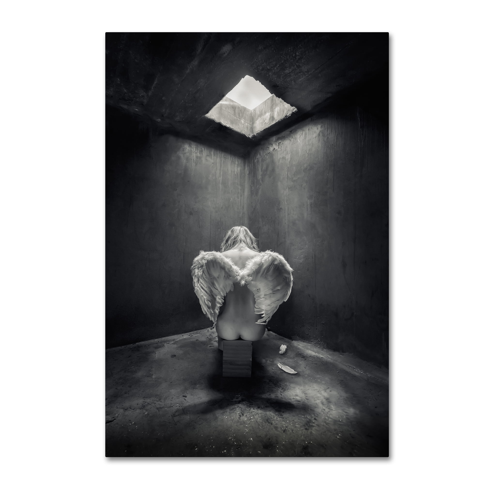Petar Lupic 'Busted' Canvas Art