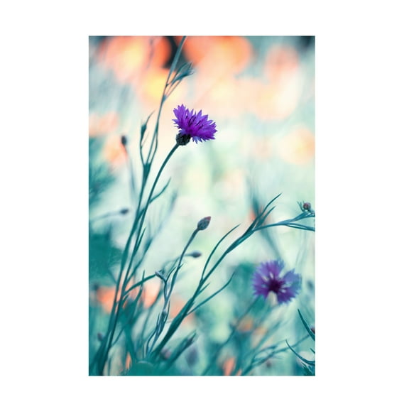 Fabien Bravin 'Colors Game 2' Canvas Art