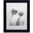 thumbnail image 1 of Moises Levy 'Flowers on Ice-1' Matted Framed Art, 1 of 1