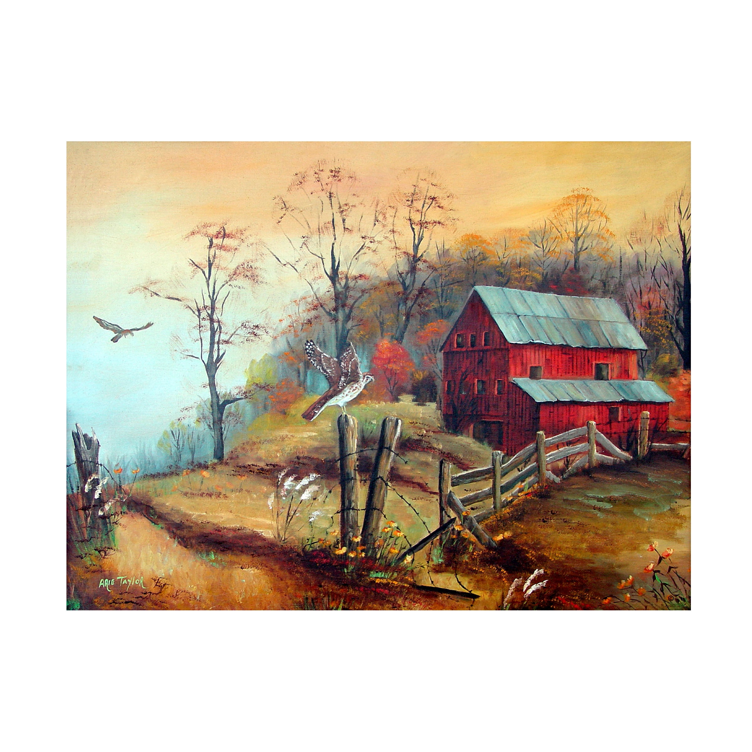Trademark Fine Art Arie Reinhardt Taylor The Red Barn And The Hawk Canvas Wall Art - 24x32