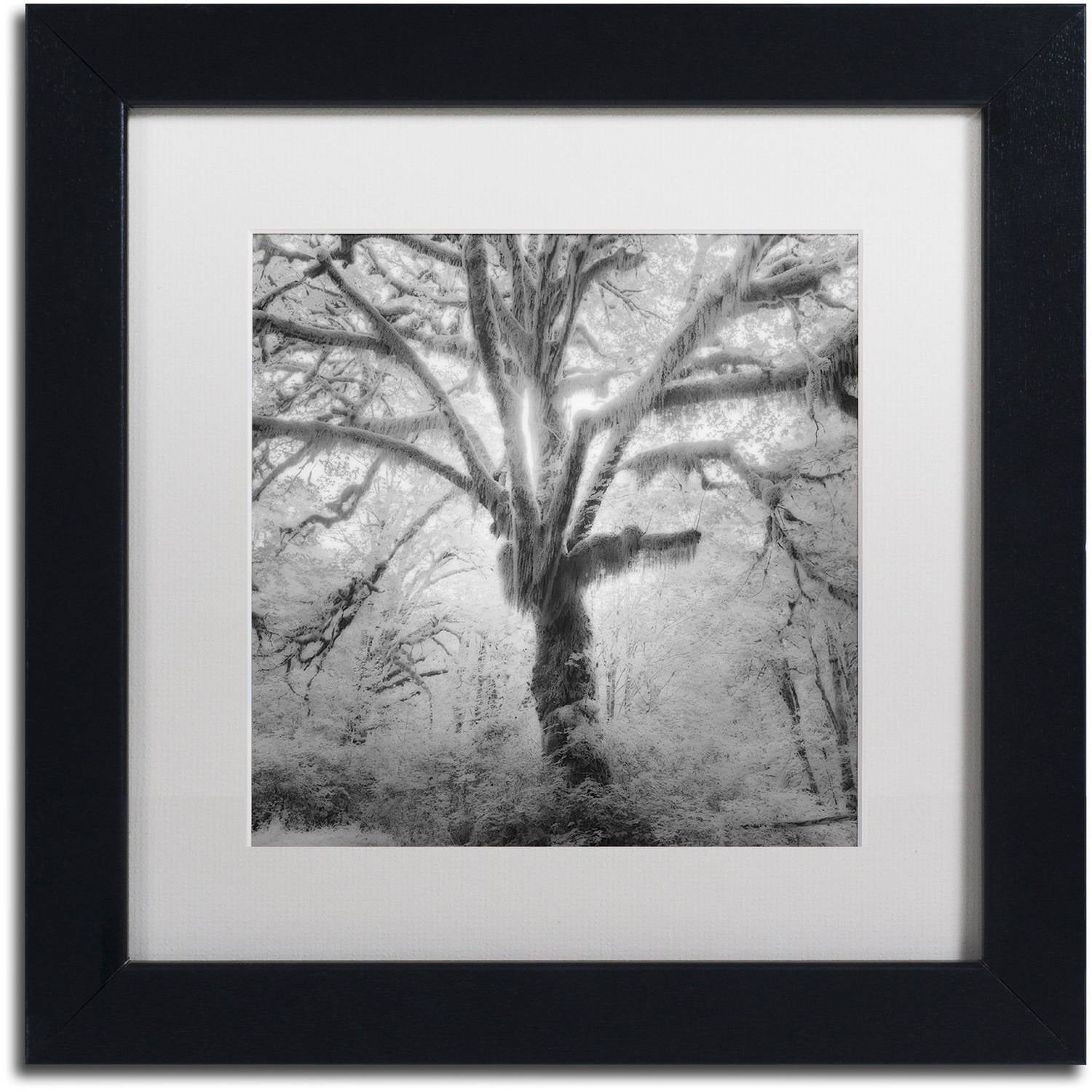 Moises Levy 'Lightning Tree II' Matted Framed Art