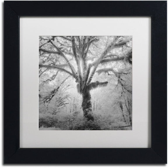 Moises Levy 'Lightning Tree II' Matted Framed Art