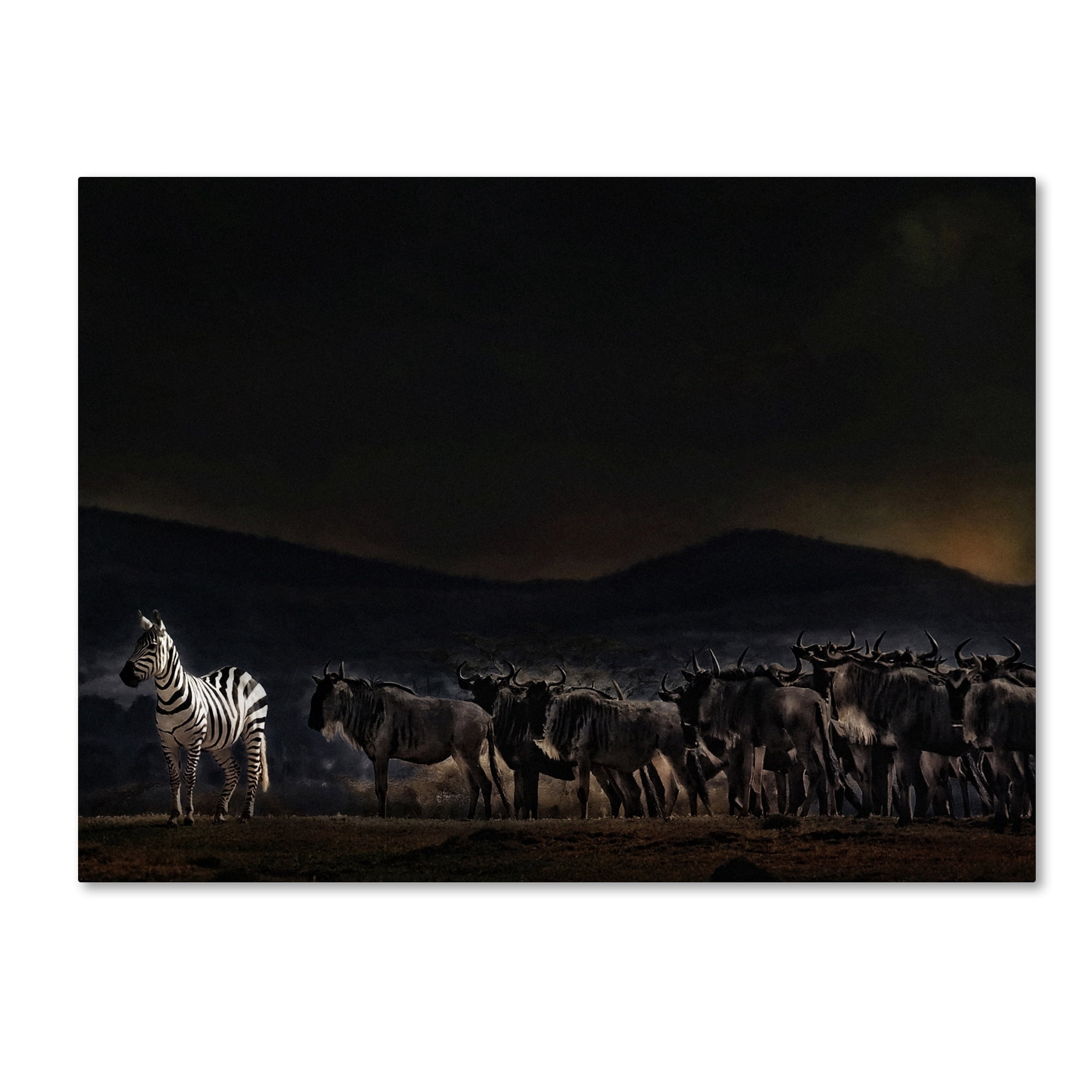 Piet Flour 'An Evening In Kenya' Canvas Art