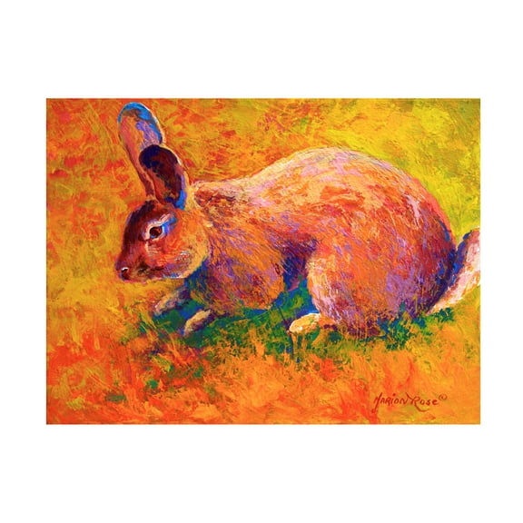 Marion Rose 'Rabbit 1' Canvas Art