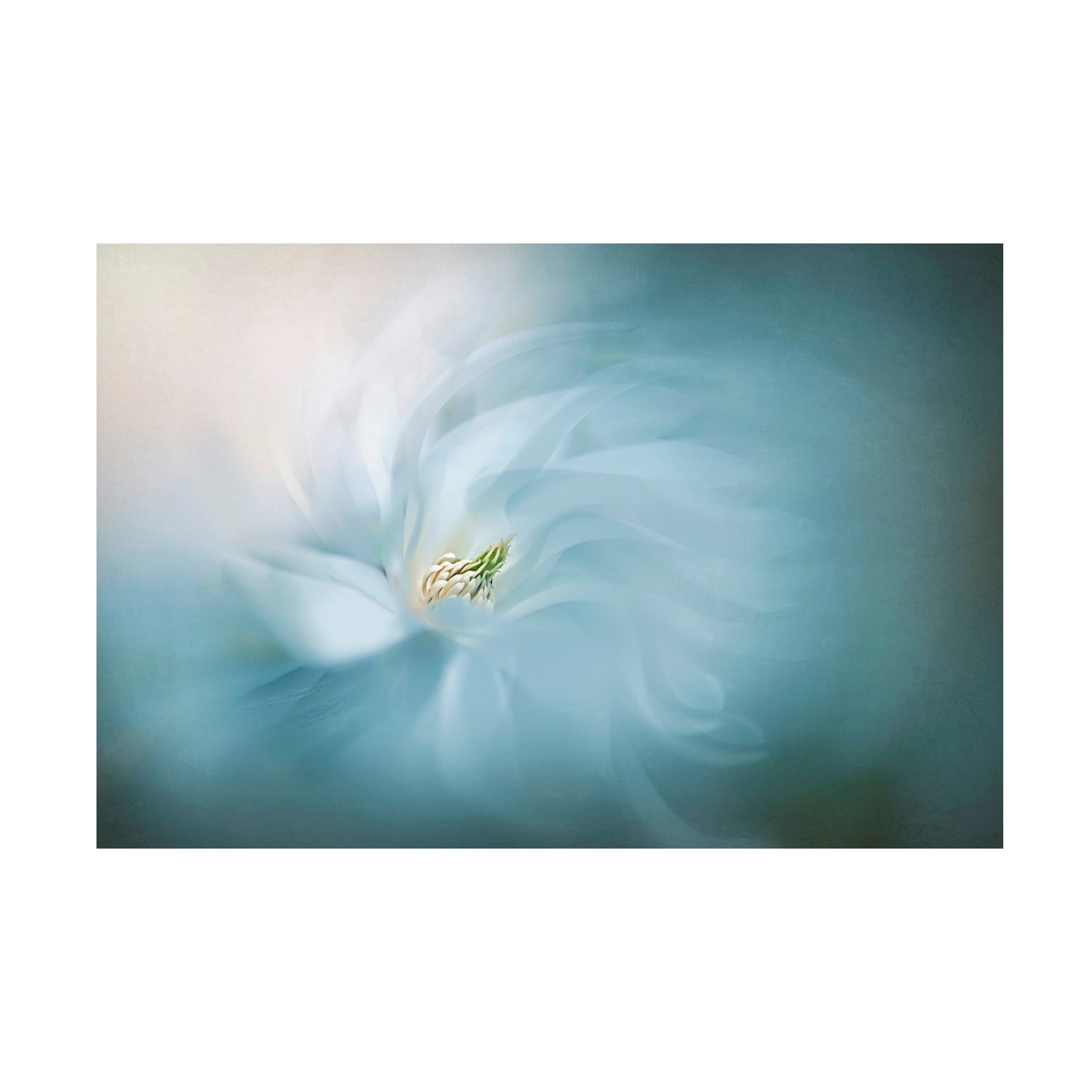 Jacky Parker 'Serene' Canvas Art