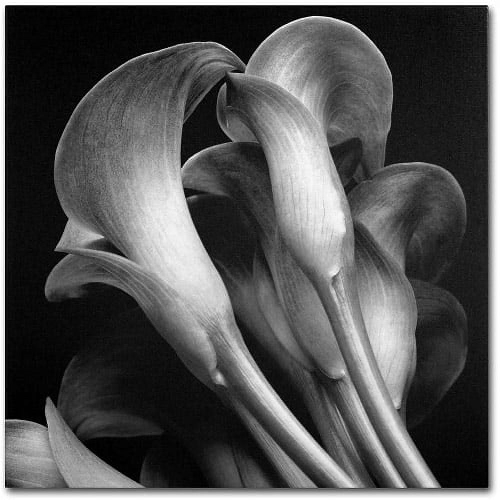 Michael Harrison Black and White Floral Canvas Art