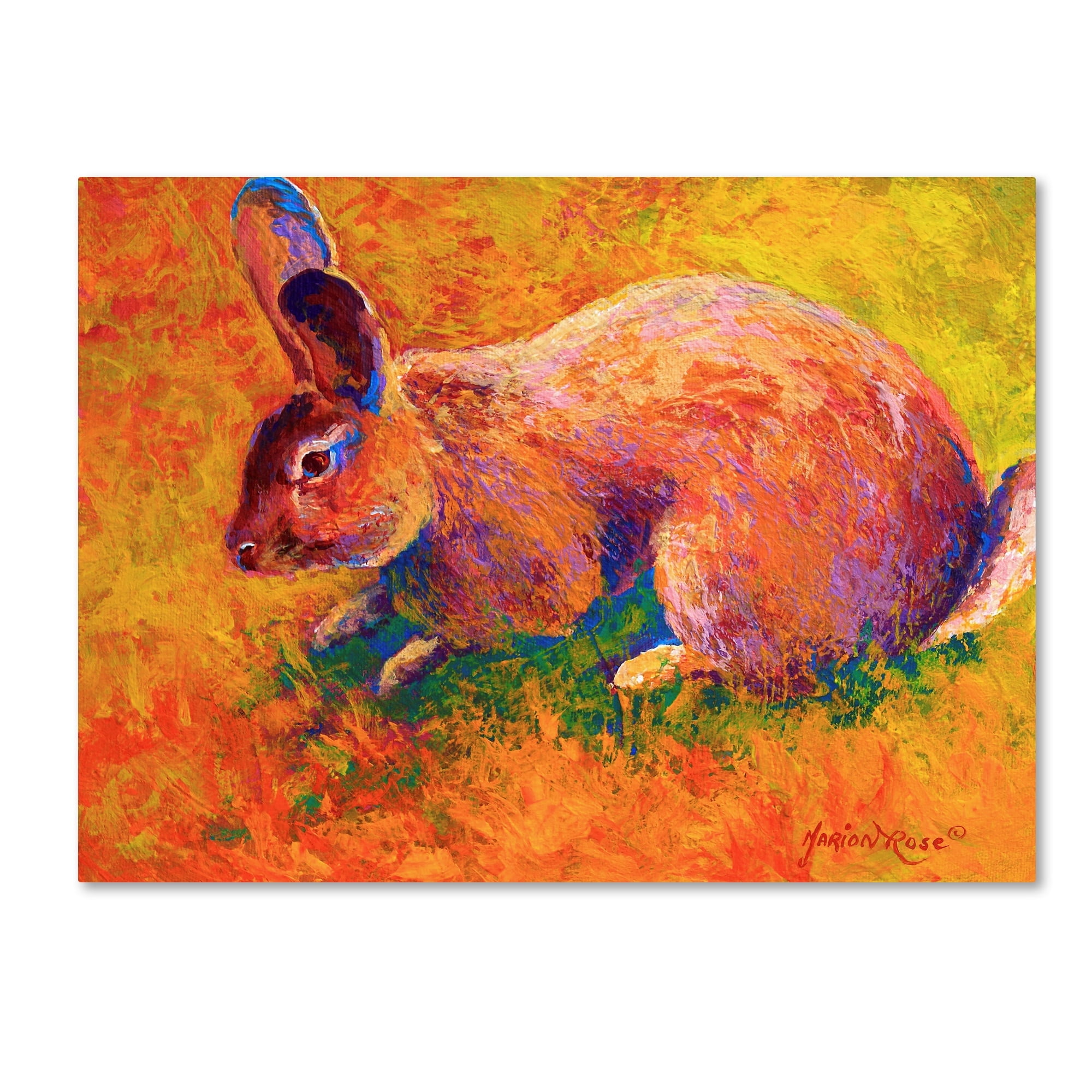 Marion Rose 'Rabbit 1' Canvas Art