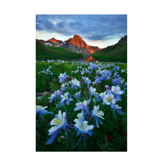 Trademark Fine Art Mei Xu Blue Columbine Paradise Canvas Wall Art - 30x47