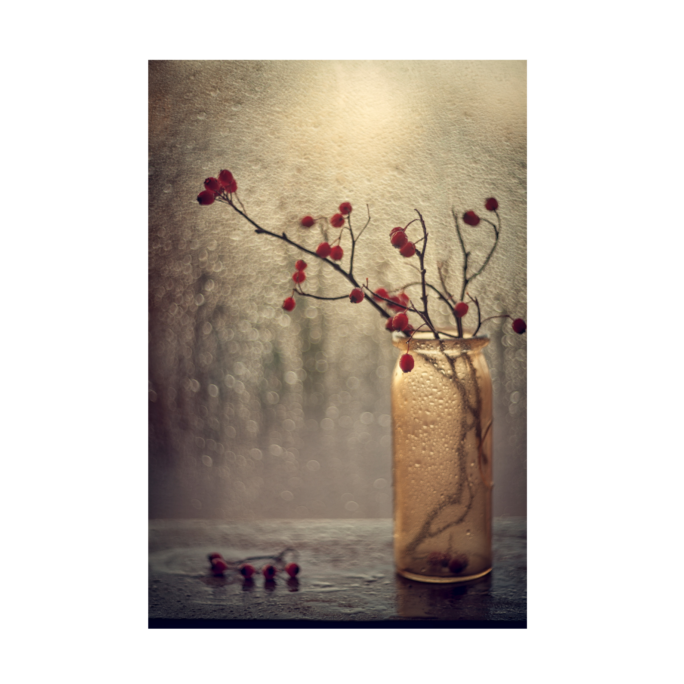 Valeriya Tikhonova 'Berries' Canvas Art