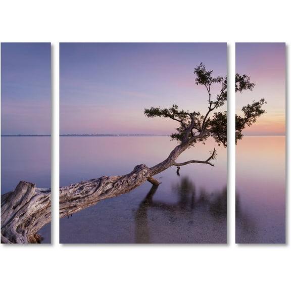 Moises Levy 'Water Tree XV' Multi Panel Art Set Large