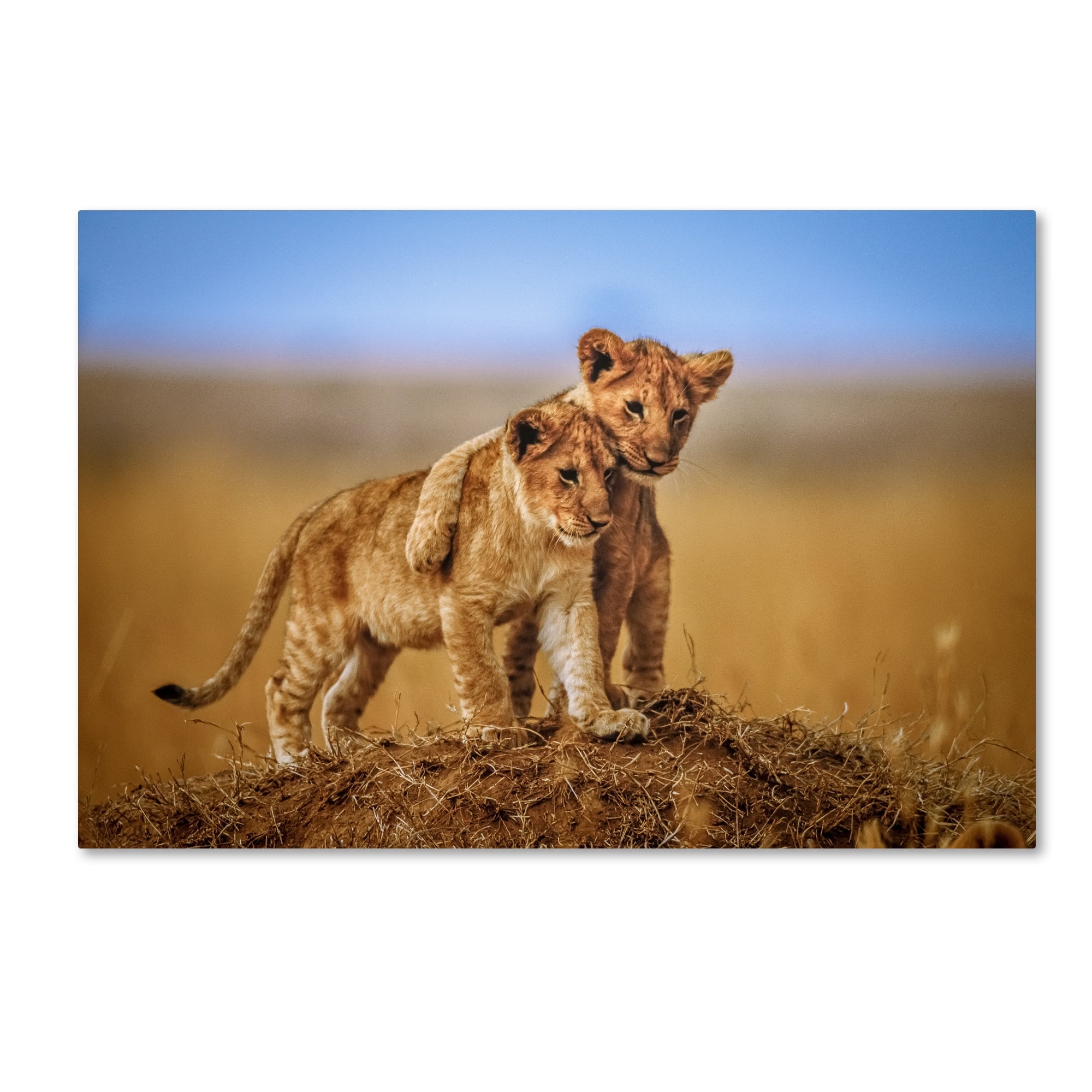 Brothers for Life 30" x 47" Canvas Wall Art Print