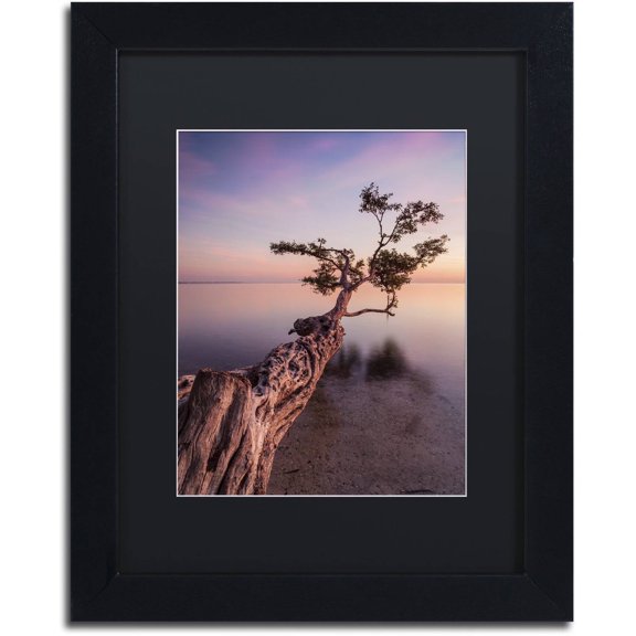 Moises Levy 'Water Tree IV' Black Matted Framed Art
