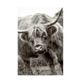 thumbnail image 1 of Jacky Parker 'The Bull' Canvas Art, 1 of 4