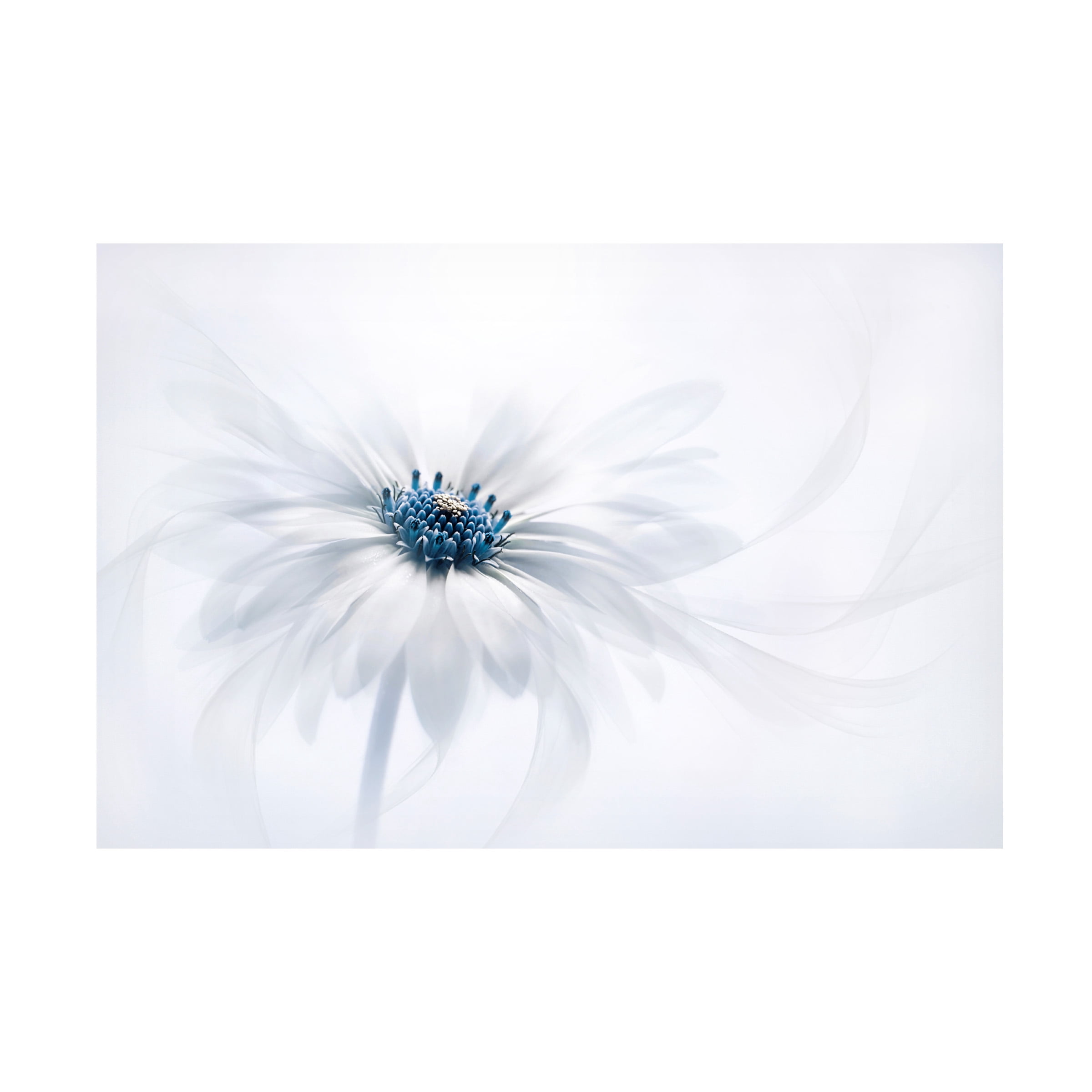 Jacky Parker 'Serenity' Canvas Art