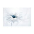 thumbnail image 1 of Jacky Parker 'Serenity' Canvas Art, 1 of 4
