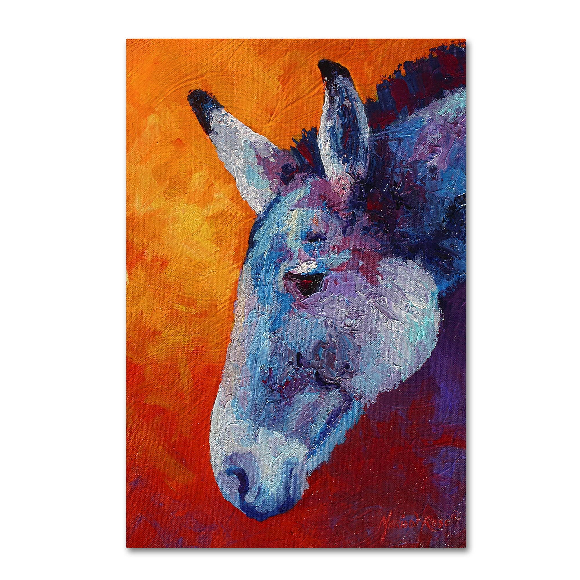 Marion Rose 'Burro IV' Canvas Art