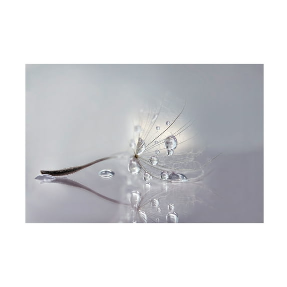 Rina Barbieri 'Silver' Canvas Art