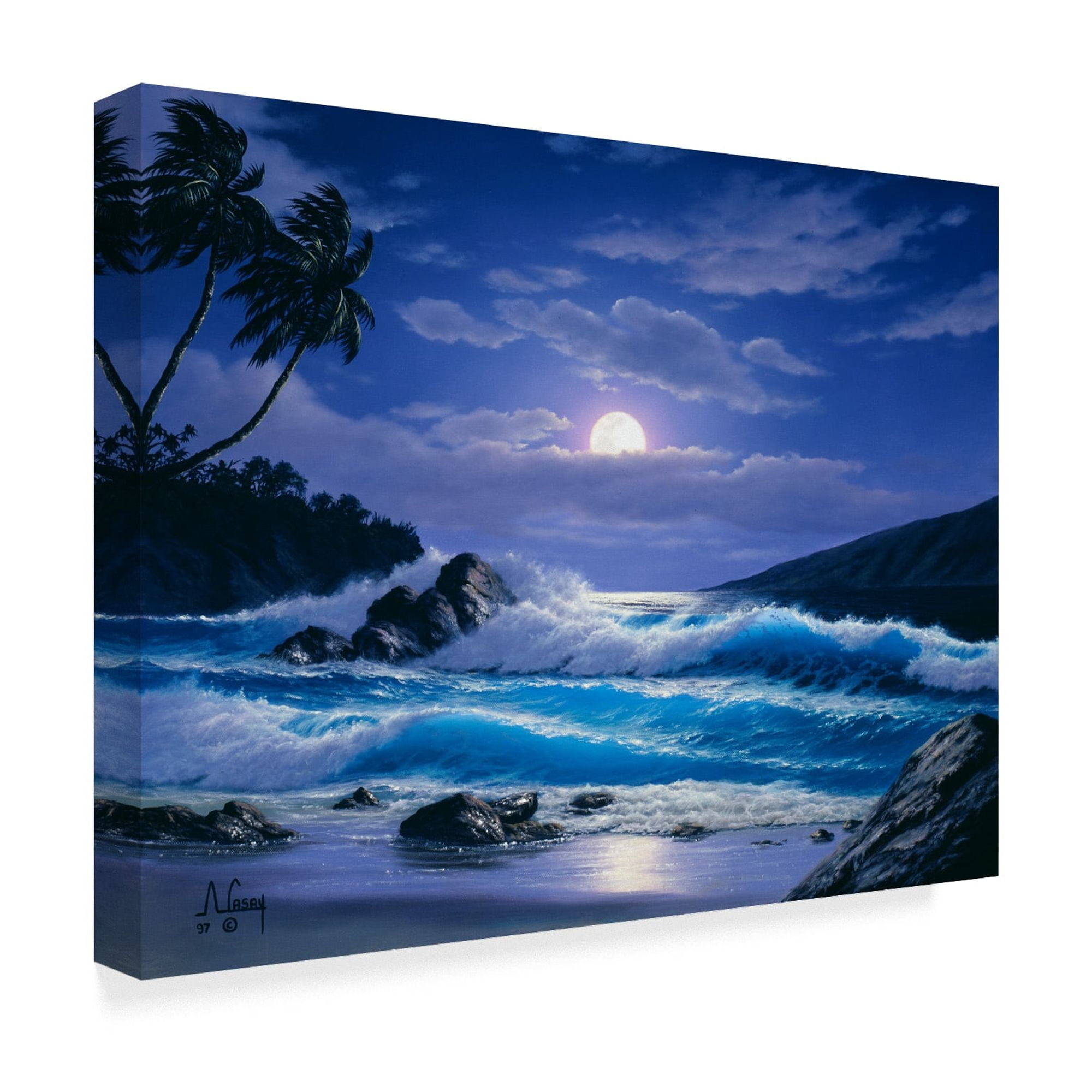 Anthony Casay Coastal Moonlit Ocean Scene Canvas Art, 18'' x 24''