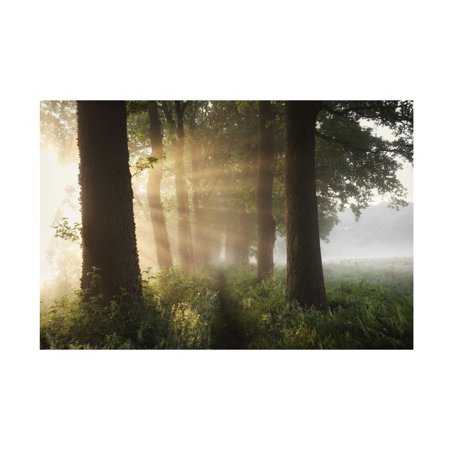 Vincent Croce 'First Day Of Summer' Canvas Art