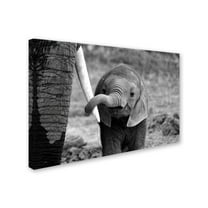 Bjoern Alicke 'Close' Canvas Art