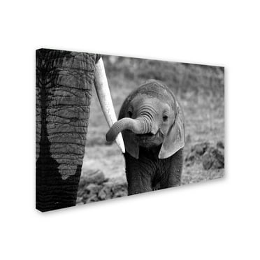 Bjoern Alicke 'Close' Canvas Art