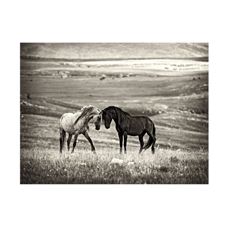 Vedran Vidak 'Close Encounter' Canvas Art