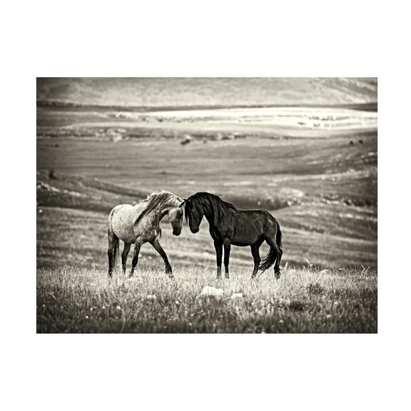 Vedran Vidak 'Close Encounter' Canvas Art